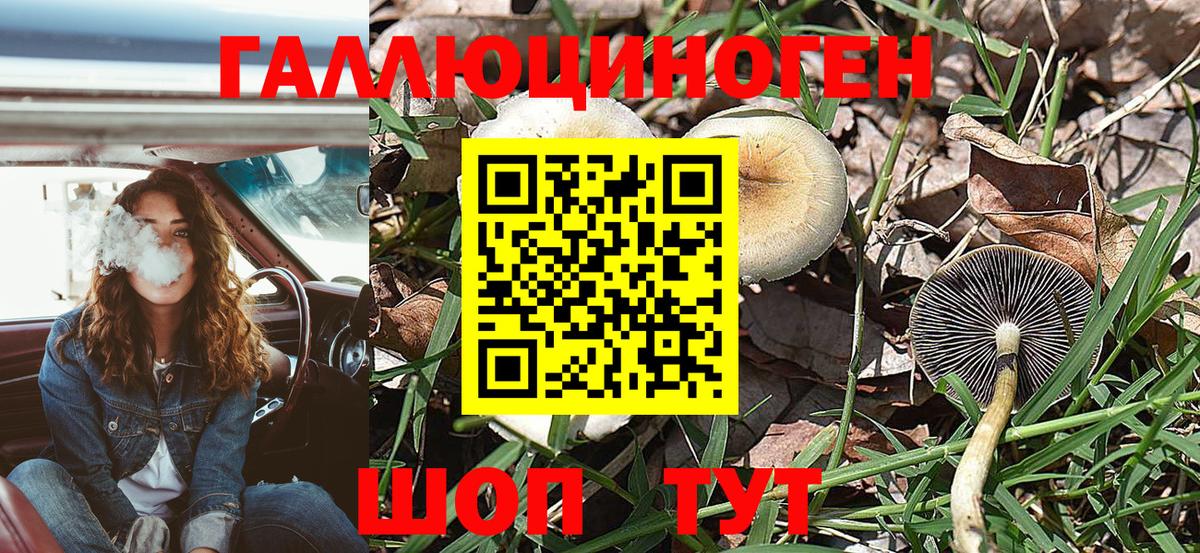 Домодедово  Галлюциногенные грибы Magic Shrooms  Псилоцибиновые грибы Cubensis  Вход с VPN 